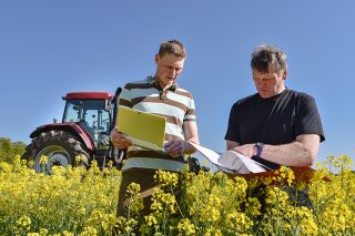 Foto: Junger und älterer Landwirt stehen in einem Feld und besprechen Dokumente